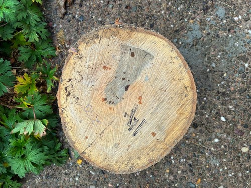 Medium sized log for - sized,
