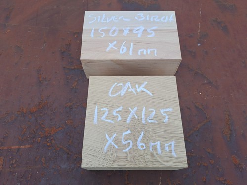 Oak and silver birch - ,