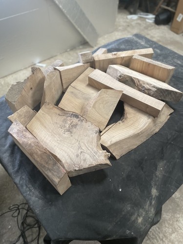 17kg stunning english - 17kg, elm