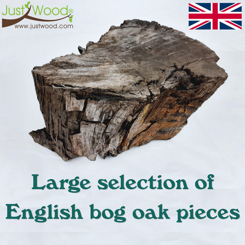 English bog oak - english, wood