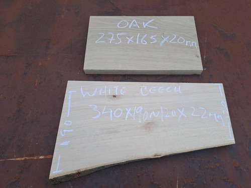 White beech and oak wood - oak,