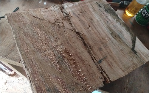 Large horse chestnut - chestnut, bowl
