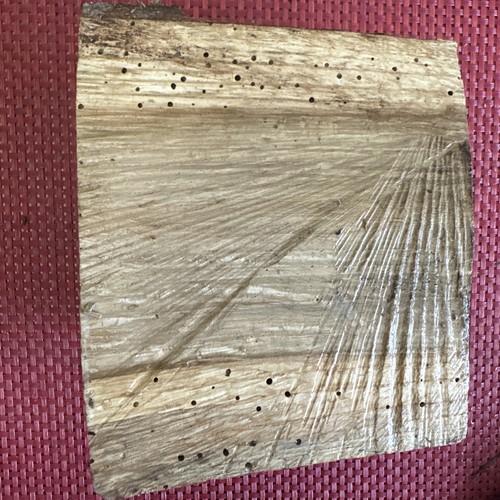 English oak wood turning - oak,