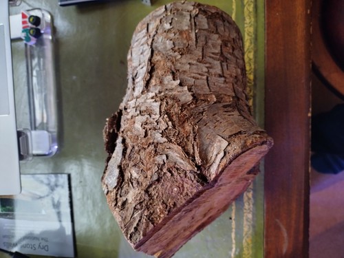 Wild cherry wood crotch - cherry,