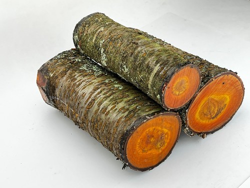 Wild cherry wood log blank - wild, for
