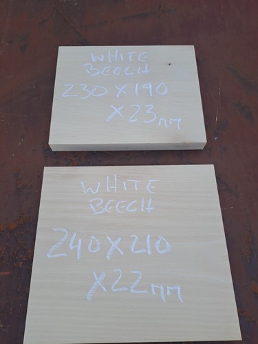 White beech wood - white,