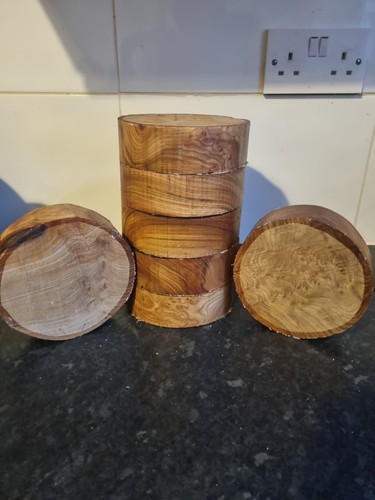 English elm hardwood bowl - elm,